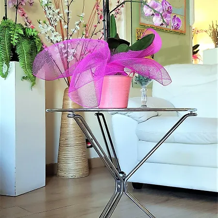 Provenza Ventimiglia