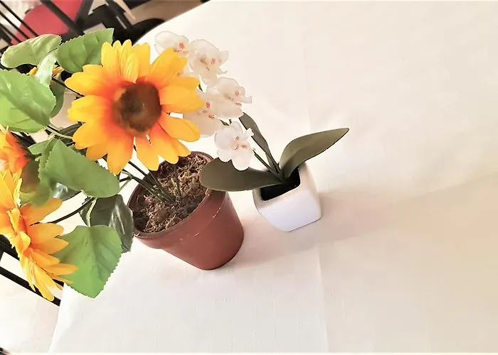 ホテル プロヴェンツァ